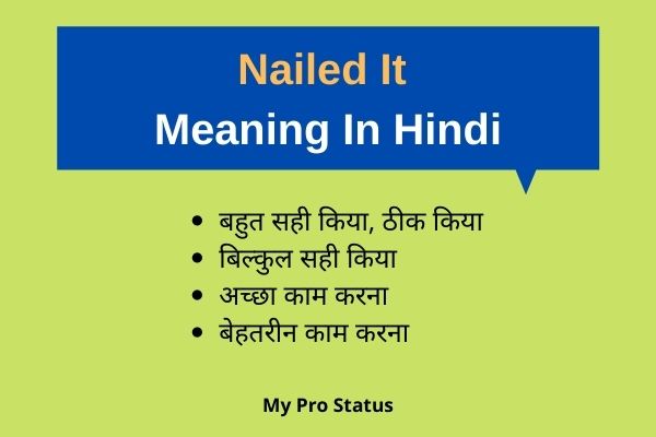 Nailed It Meaning In Hindi