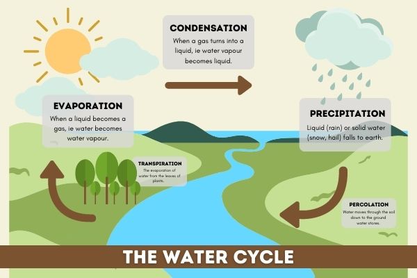 Water Cycle In Hindi