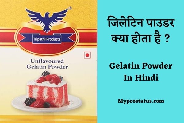 Gelatin powder in Hindi