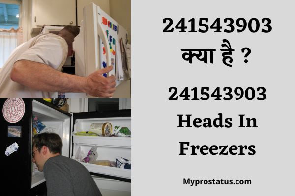 241543903 Heads In Freezers
