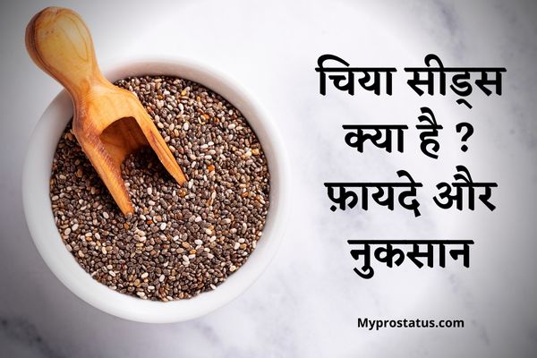 Chia Seeds In Hindi